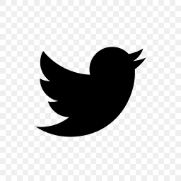Modern Flying Bird Social Media Platform Communication UI Icon Vector icon